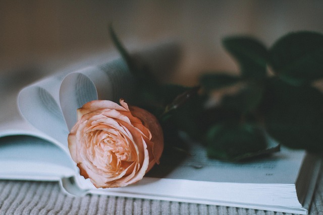 gift