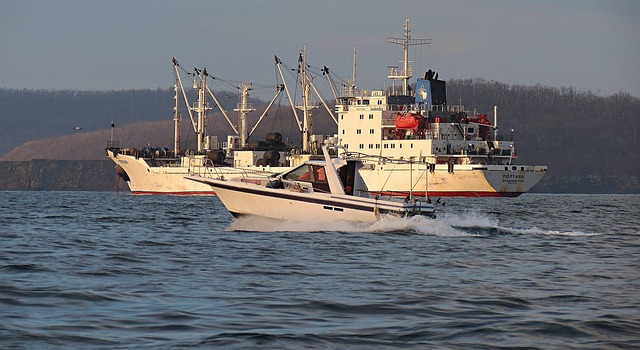 shipping